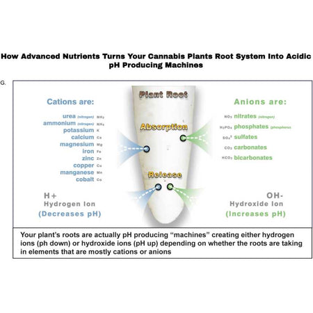 Advanced Nutrients POWDER Sensi Grow A/B Pro, 5lb Advanced Nutrients