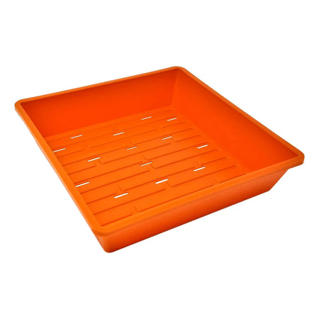 Bootstrap Farmer 1010 Seed Germination Tray 2.5" Deep, With Holes | Assorted Colors