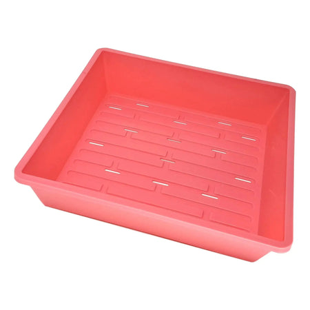 Bootstrap Farmer 1010 Seed Germination Tray 2.5" Deep, With Holes | Assorted Colors