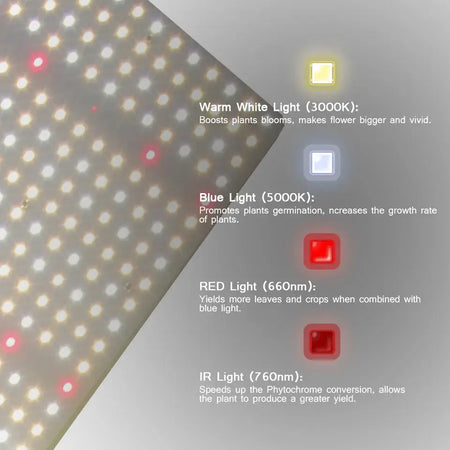 Megaphoton LED Grow Light Full Spectrum/ 2.5umol /Dimmable, 450watt