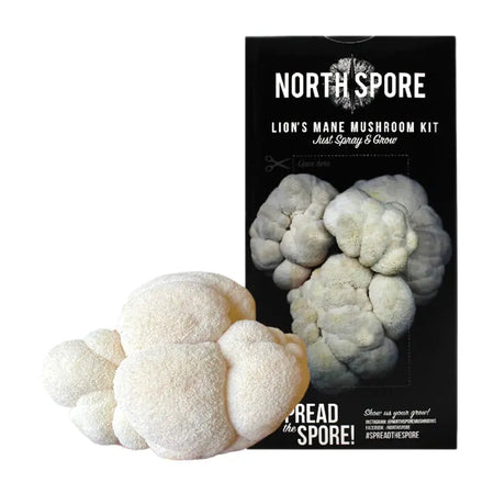 NORTH SPORE Lion's Mane ‘Spray & Grow’ Mushroom Growing Kit NORTH SPORE